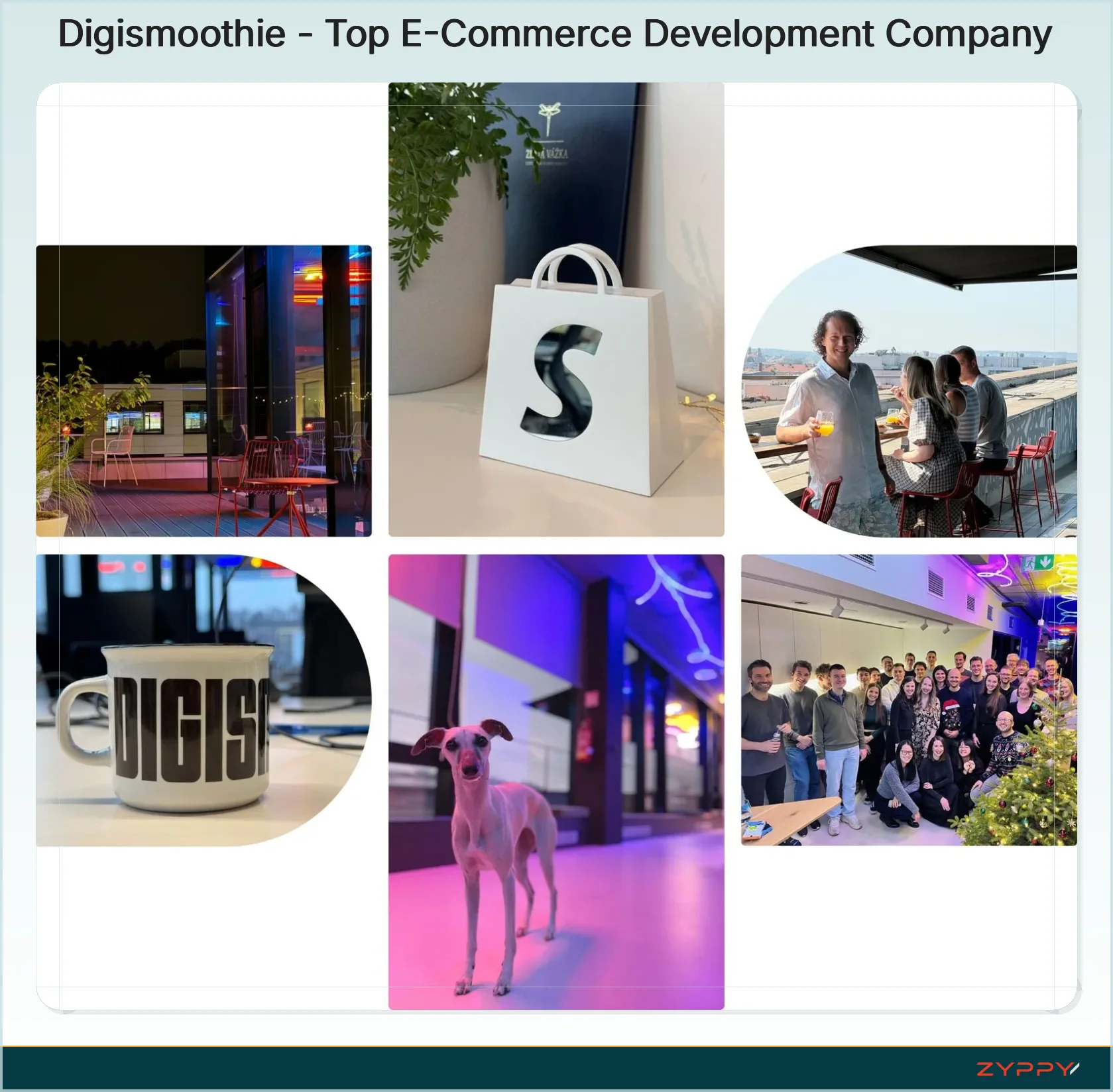 Digismoothie - Top E-Commerce Development Company