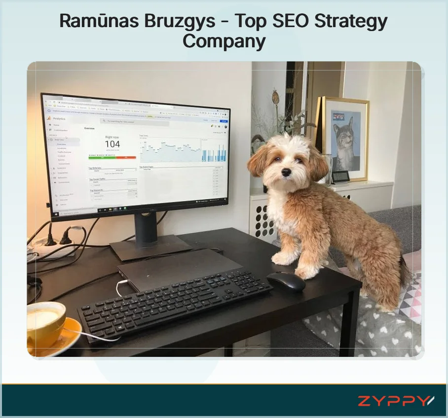 Ramūnas Bruzgys - Top SEO Strategy Company